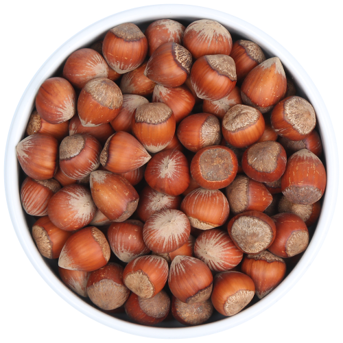 Organic Hazelnut